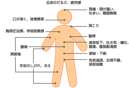 乱れ 自律 症状 神経